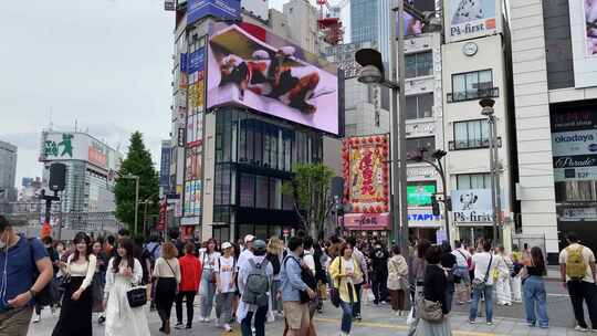 猫日本拥挤的东京