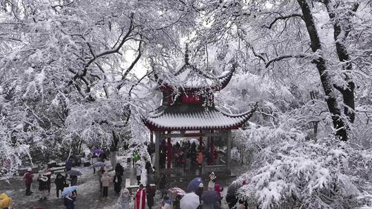 长沙下雪岳麓山岳麓书院橘子洲雪景