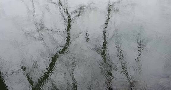 雨天湖面雨滴树影空镜