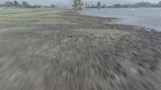 海南乡村湿地航拍空镜