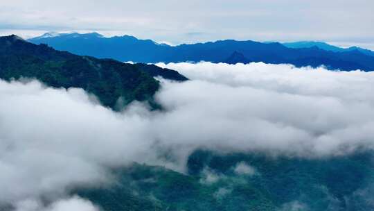 航拍森林云雾云海 秦岭山脉