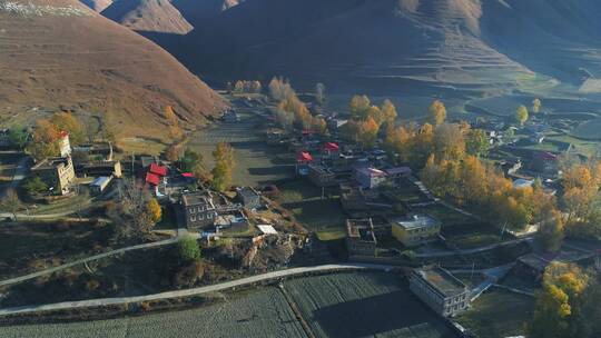 秋季新都桥早晨藏族村落航拍风景