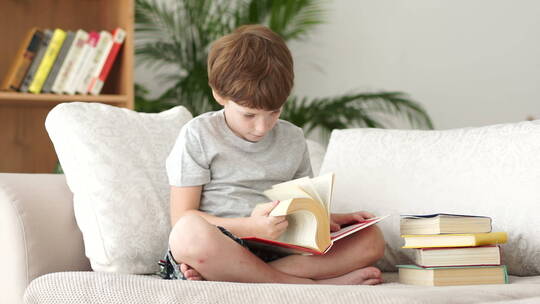 小男孩坐在沙发上看书