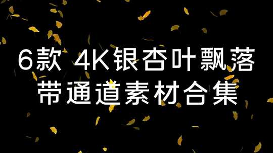 6款4K银杏叶飘落素材合集-带通道AE视频素材教程下载