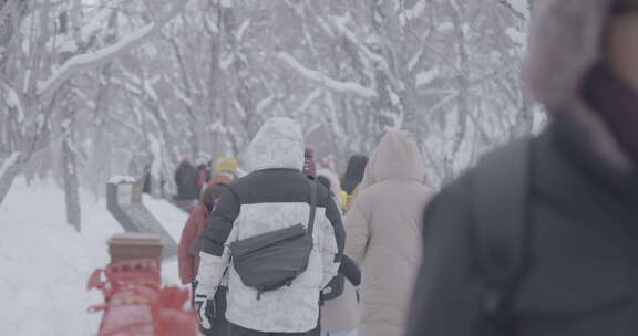 长白山冬季旅游