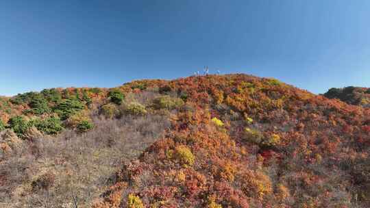 航拍千山山谷彩色森林