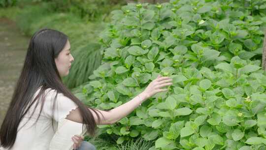 大学生美女看书学习校园公园夏天春天树林