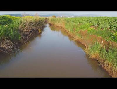 灌溉农田的小河
