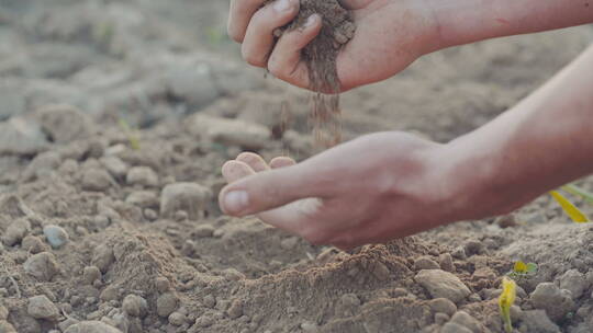 一个人把土壤从一只手倒到另一只手