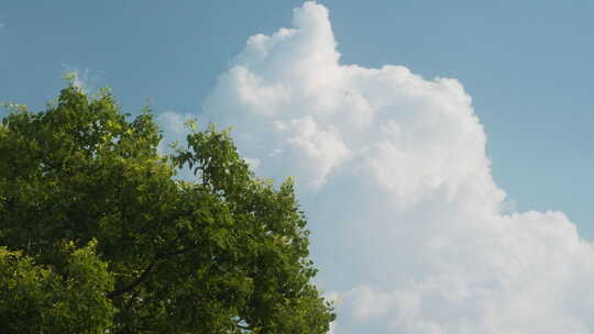 超大云彩云朵蓝天白云绿树