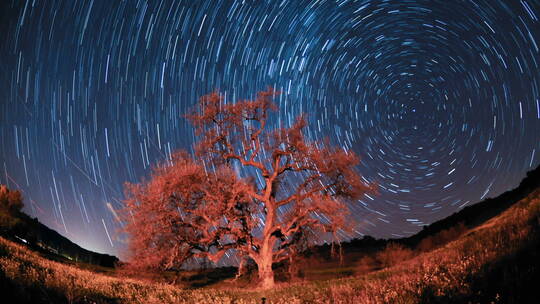 梦幻星轨延时景色视频素材模板下载