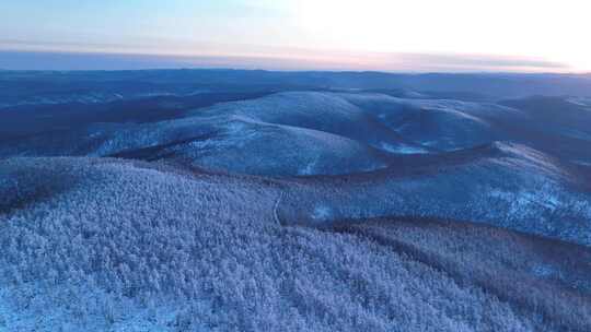 大兴安岭林海雪原雾凇夕照视频素材模板下载