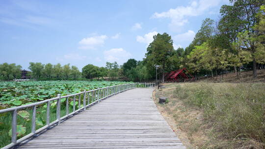 武汉汉阳区汤湖公园风景