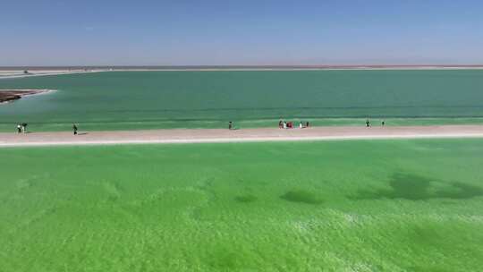 航拍青海察尔汗盐湖翡翠绿色湖水青甘大环线