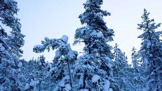 北欧芬兰冬季欧洲雪景看极光罗瓦涅米航拍
