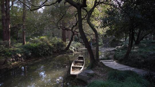 杭州西湖景区曲院风荷风景