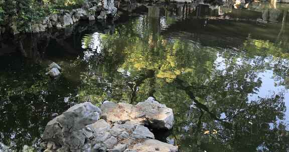 阳光绿植太湖石园林庭院水景沉浸式氛围