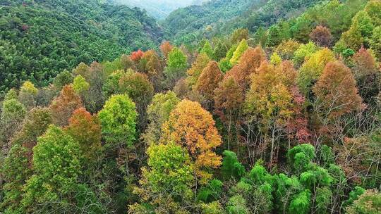 靖安隐仙谷山区17