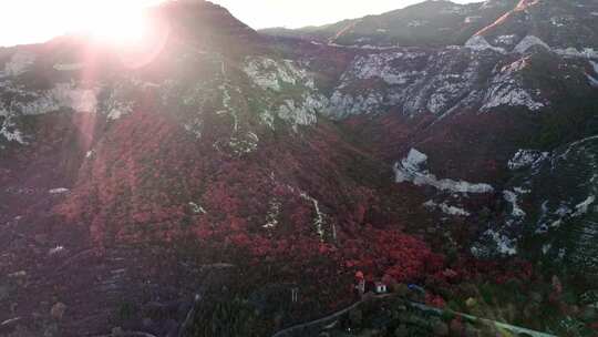 秋日红叶森林航拍满山红叶