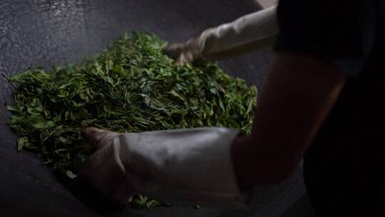 普洱茶古树茶炒茶手工杀青工艺视频素材模板下载