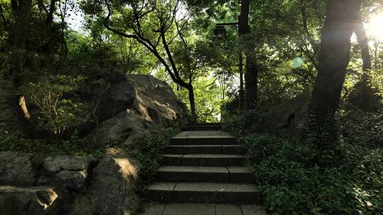 杭州西湖城隍阁自然景观