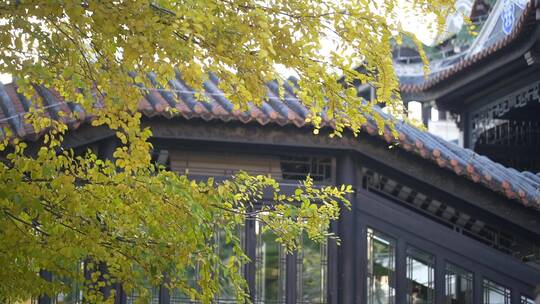 广州西关永庆坊地面景色特写二