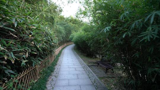 杭州西湖景区植物园