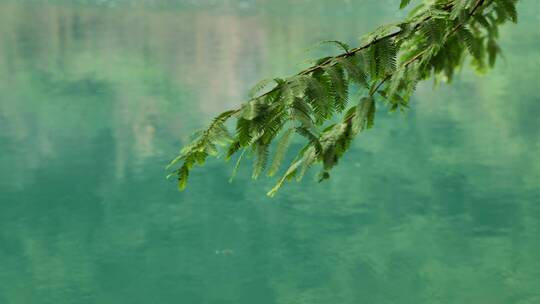 浙江桐庐大奇山蓝绿色的湖水静态画面