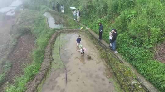 梯田混水摸鱼