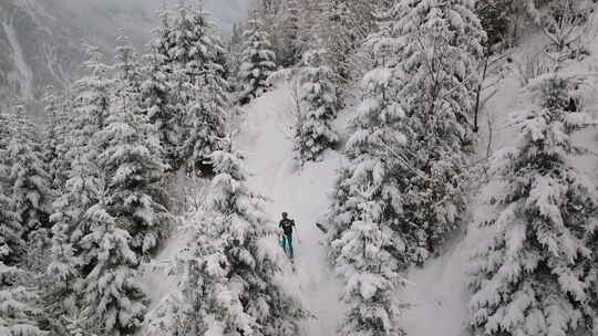 滑雪者行走在白雪覆盖的森林