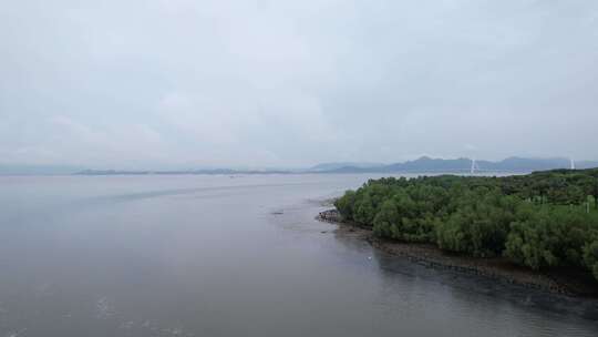 深圳湾退潮滩涂航拍