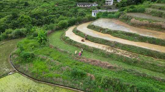 客都广东梅州市大埔县坪山梯田景区航拍