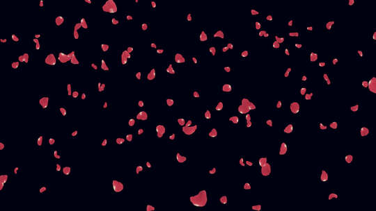 飘动的玫瑰花瓣动画 带通道视频素材模板下载