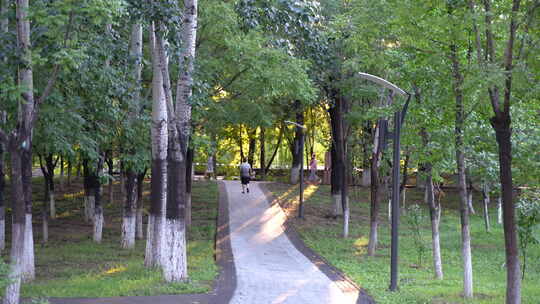 公园散步休闲生活放松身心