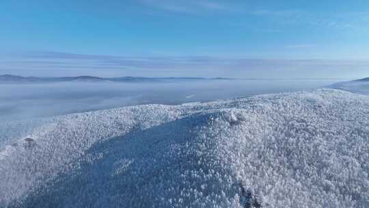 航拍林海雪原高山雾凇晨光冻雾