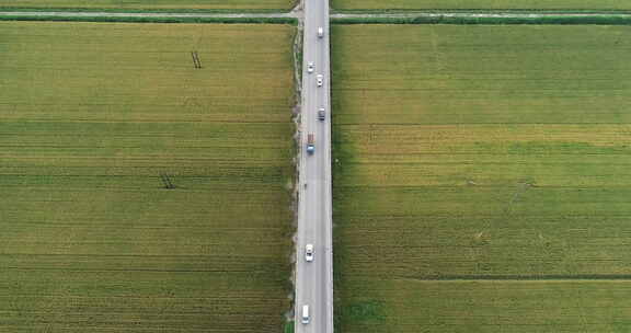 航拍潜江乡村稻田公路汽车