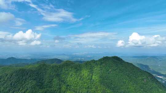 （原创）水 大自然森林 小溪 山水瀑布风景