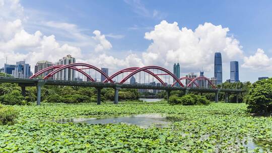 深圳罗湖洪湖公园延时