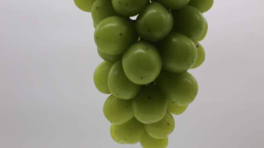 绿色葡萄微距特写素材