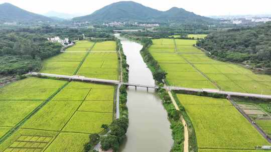 中国广东省广州市从化艾米稻香小镇