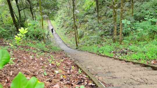 阶梯通往山顶道路