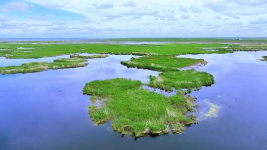 内蒙古辉河湿地