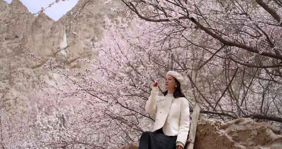 美女坐在杏花树上休息新疆杏花村旅行