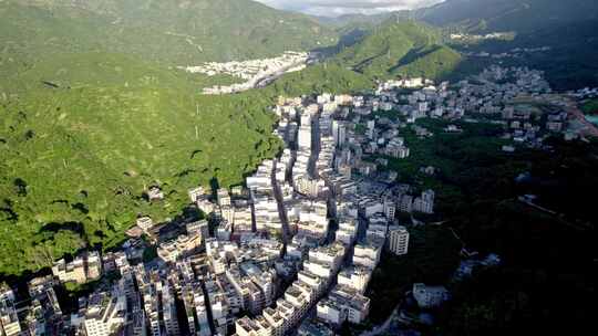 广东茂名信宜钱排 三华李种植基地视频素材模板下载