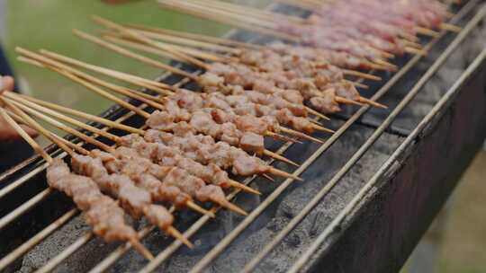 烤羊肉串户外烧烤碳烤烤肉串露营美食特写