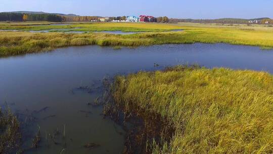航拍秋季乌兰布统草原湖泊湿地风景
