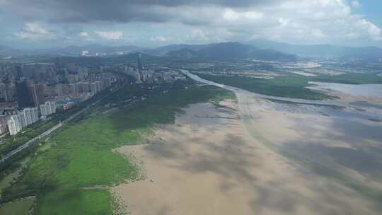 4K航拍深圳福田红树林湿地保护区