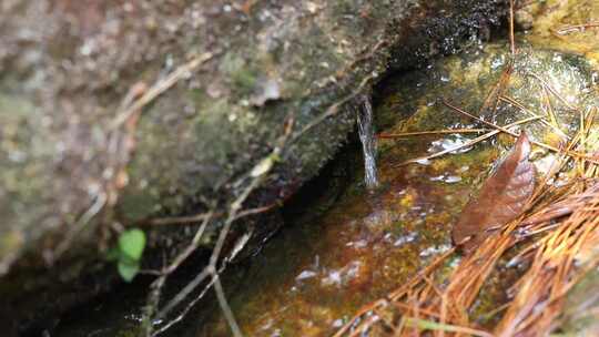 J浙江温州苍南玉苍山流水4K实拍视频2