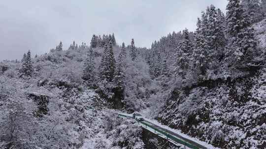 航拍森林树林雾凇雪景汽车行驶在盘山公路