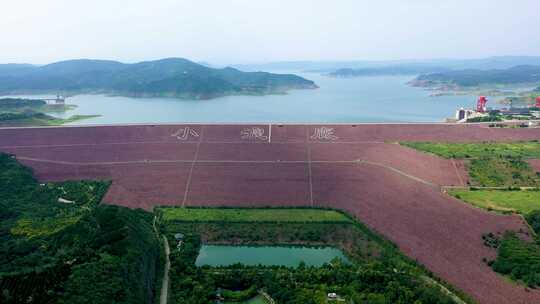 河南省黄河小浪底景区调水调沙